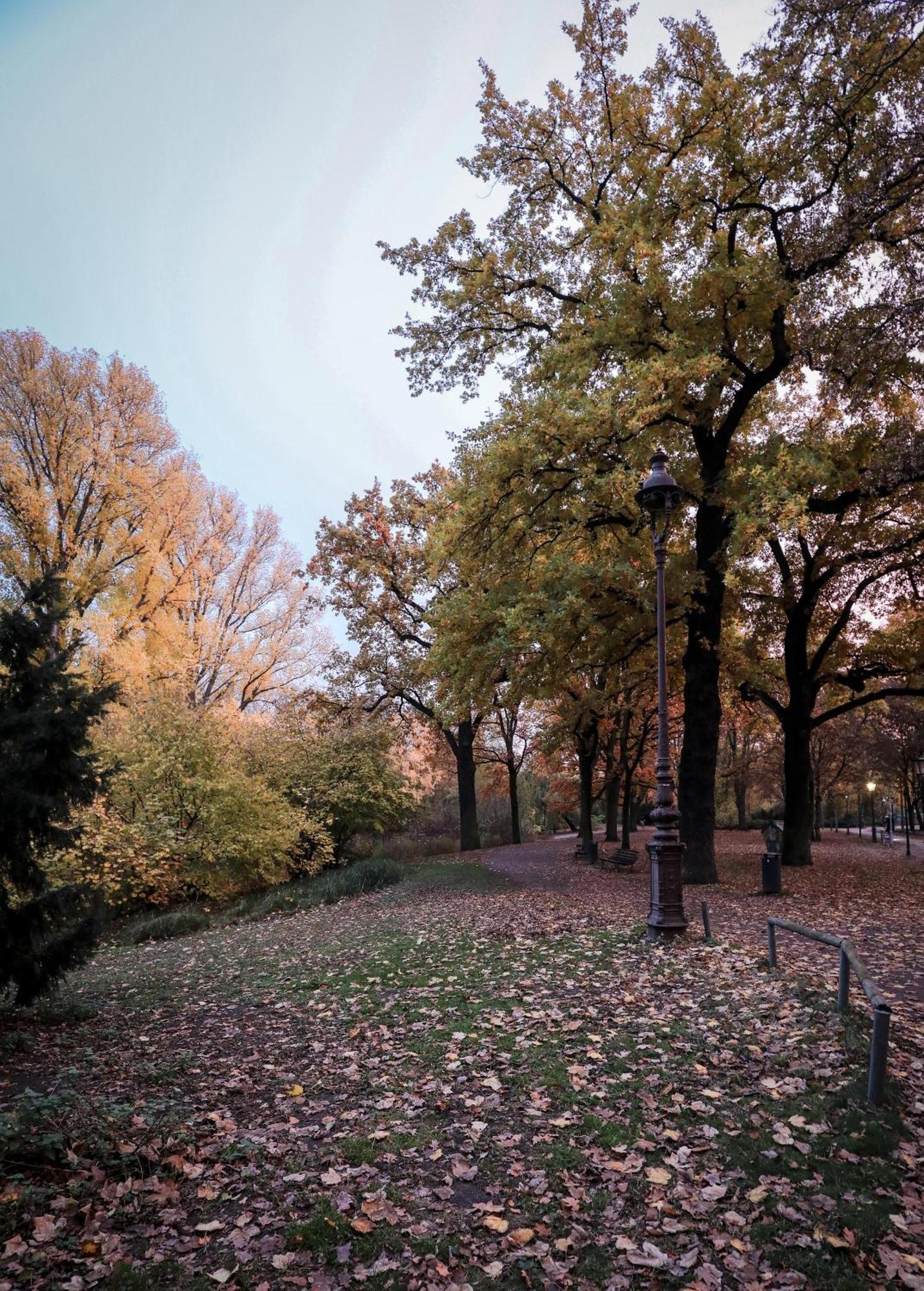 KPM Hotel&Residences Berlín Exterior foto Autumn in Central Park